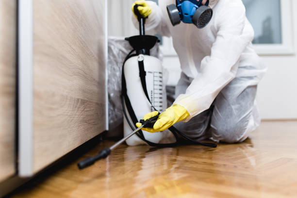 Best Mosquito Control Services  in Mountain City, GA