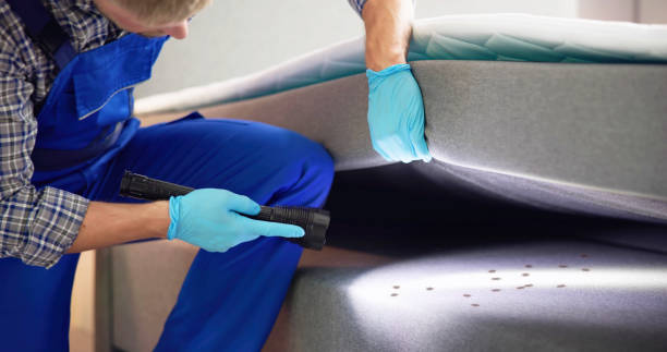 Trusted Mountain City, GA Pest Control Experts